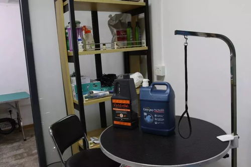 澄海医疗设备宠物店 开启科学养宠新纪元